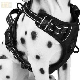 Pet Factory wholesale Amazon Ebay Wish hot large mesh dog harness 109-0001 gmtpet.cn