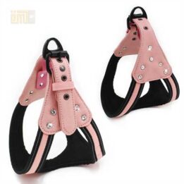 GMTPET Pet factory wholesale Pet dog car harness for girls 109-0007 gmtpet.cn