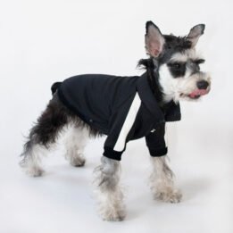 Sport Pet Clothes Custom Fashion Dog BomberJacket Blank Dog Clothes gmtpet.cn
