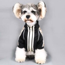2020 Dog Coat Spring Autumn Pet Clothing Small Designer Dog Clothes gmtpet.cn