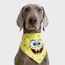 New Product Yellow Cartoon Cute Duck triangle scarf Pet Saliva Towel gmtpet.cn
