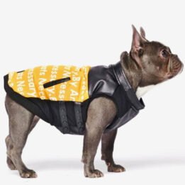 Pet Dog Clothes Vest Padded Dog Jacket Cotton Clothing for Winter gmtpet.cn