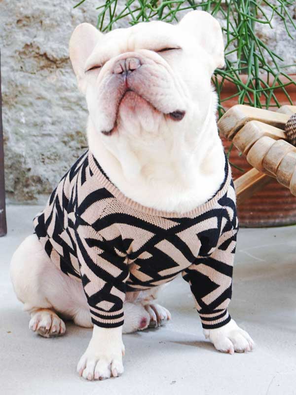 Оптовый поставщик одежды для домашних животных Роскошный вязаный свитер для собак Теплая зимняя одежда для собак 06-1392 gmtpet.cn