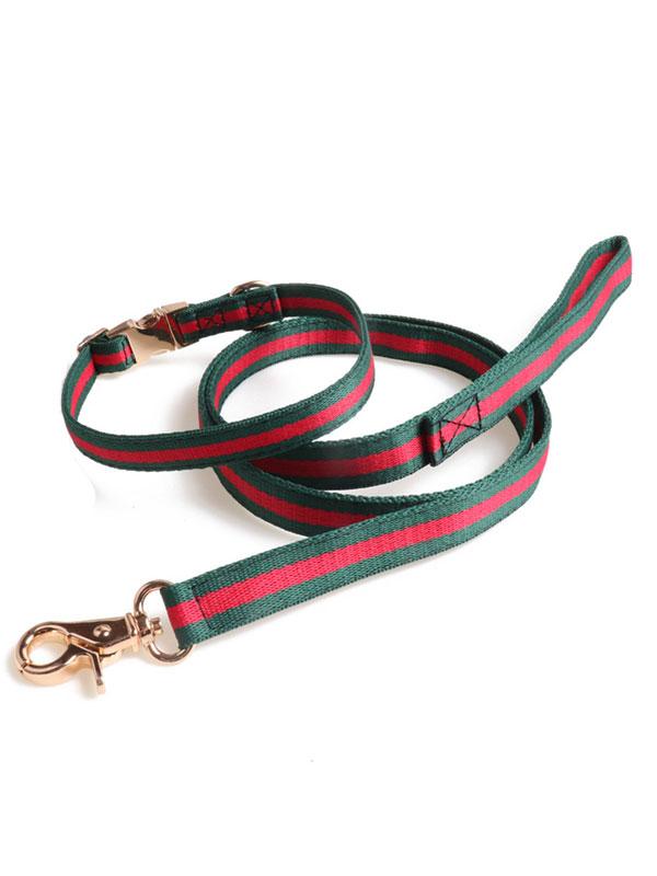 Factory Wholesale Pet Collar Nylon Webbing Dog Leash Rope Dog Collar Heavy Duty Dog Leash With Full Metal Buckle 06-1608 gmtpet.cn