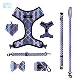 Pet harness factory new dog leash vest-style printed dog harness set small and medium-sized dog leash 109-0032 gmtpet.cn
