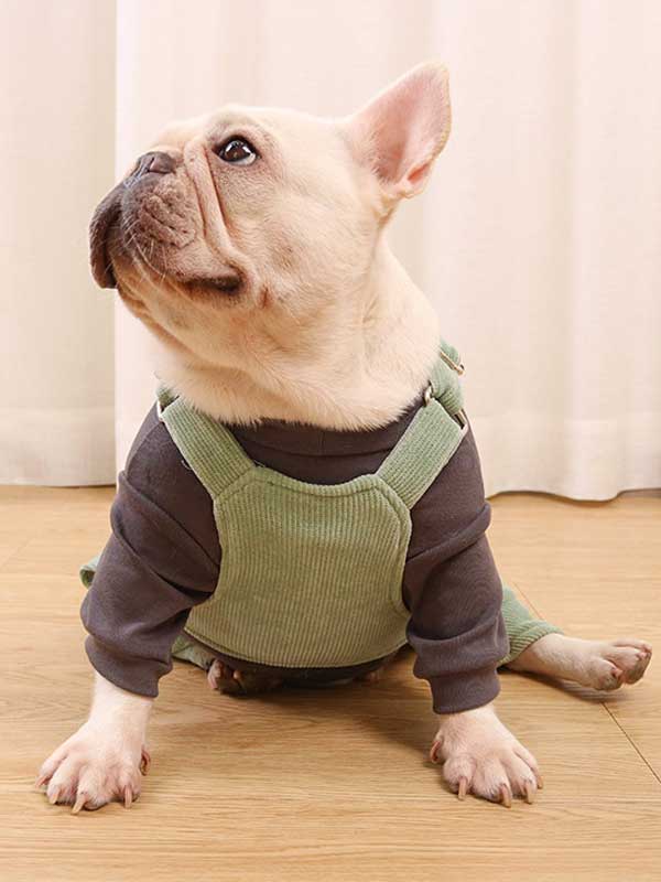 GMTPET French fighting clothes high elastic comfortable solid color plus velvet thick bottoming shirt T-shirt bulldog dog clothes 107-222016 gmtpet.cn