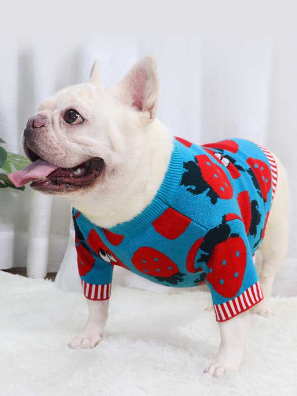 New autumn and winter dog clothes bulldog sweater strawberry cartoon short body fat dog method fighting autumn sweater 107-222041 gmtpet.cn