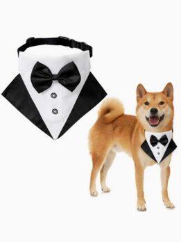 Wedding suit pet drool towel dog collar pet triangle towel pet bow tie wedding suit triangle towel 118-37007 gmtpet.cn