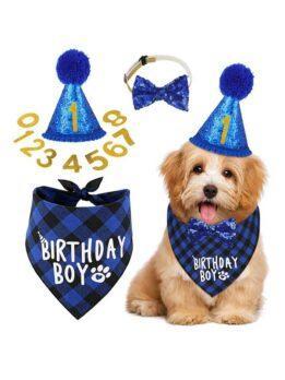 Pet party decoration set dog birthday scarf hat bow tie dog birthday decoration supplies 118-37011 gmtpet.cn