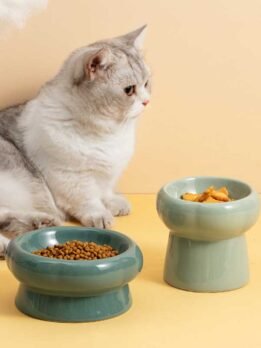 Tigela de cerâmica para gato tigela para comida de gato tigela para beber cachorro 123-12011 gmtpet.cn